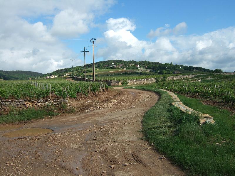 2010-05- (19).JPG
